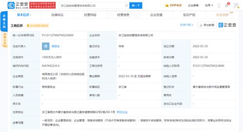 信息技术咨询服务 赋能企业数字化转型